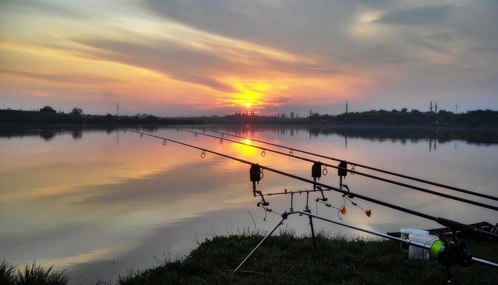 Concursuri - 2009 - dscn0908-2.jpg